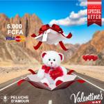 Ours en peluche
